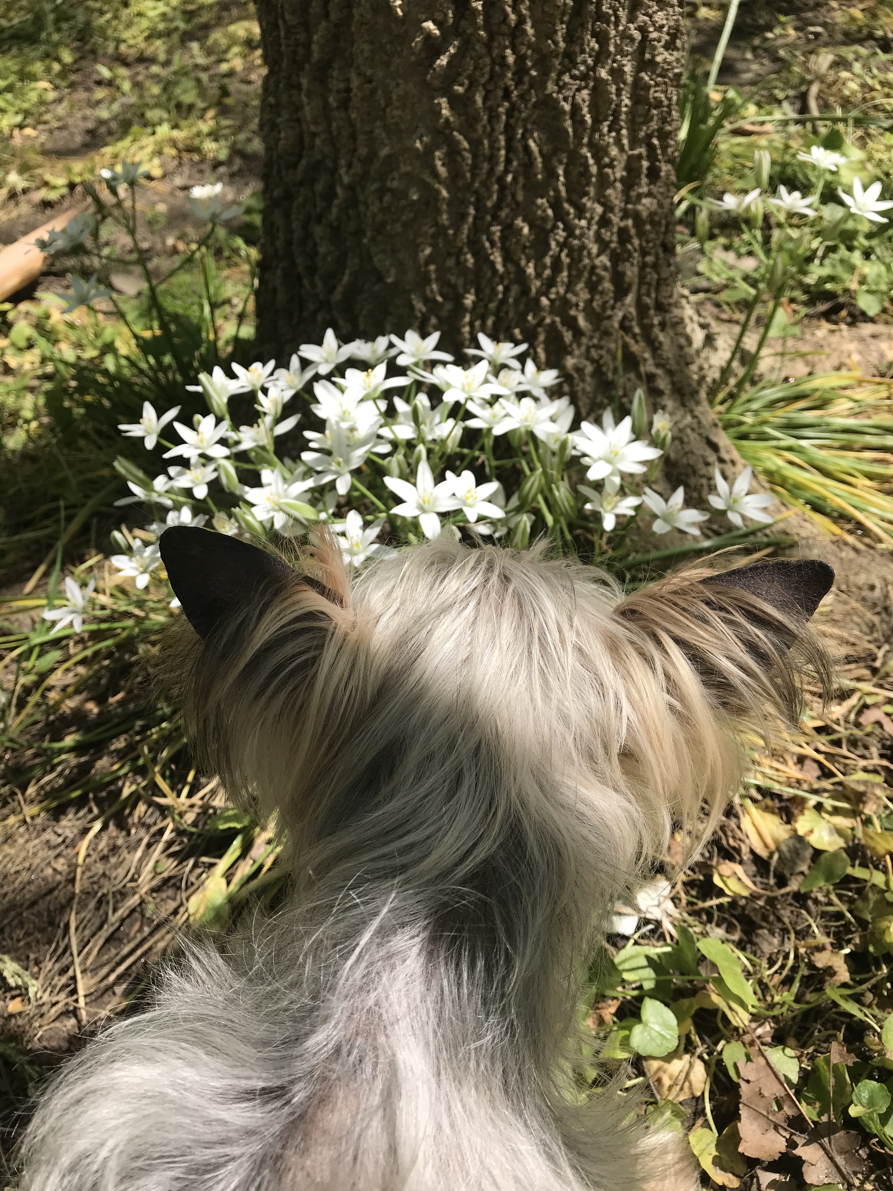 B24BDE80-2EFE-46D5-BCFE-F79F44C4CBA2